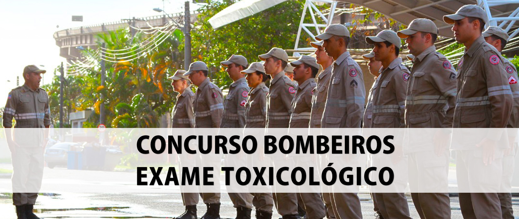 CONCURSO_TOXICOLOGICO