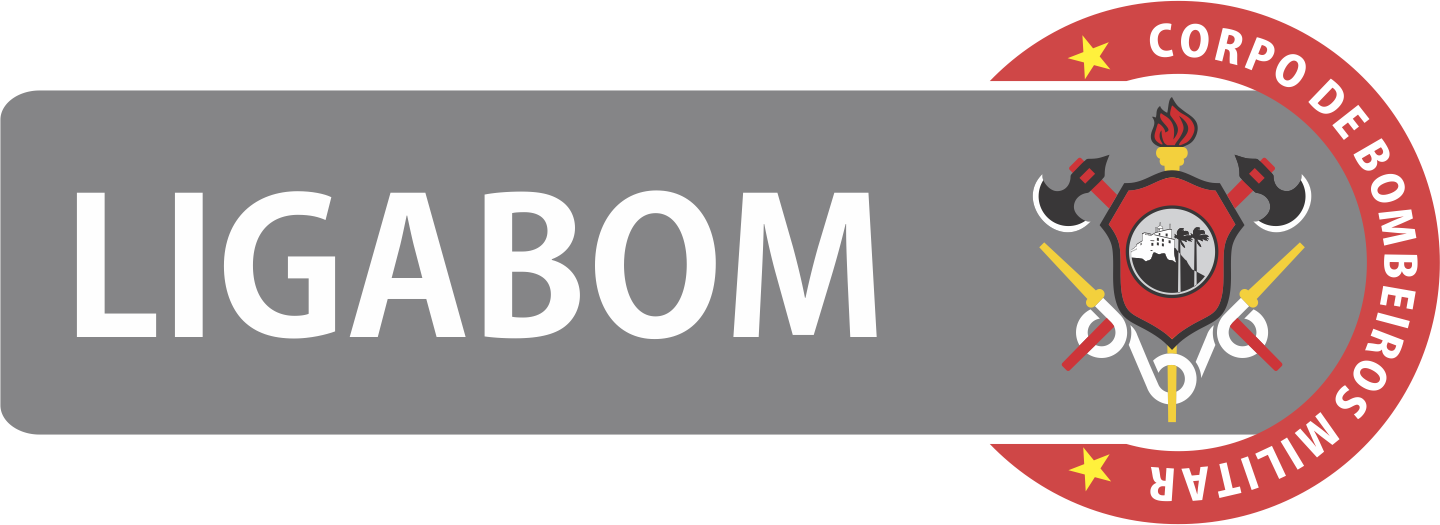 12 - LIGABOM