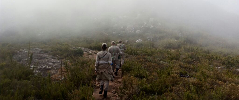 buscas_caparao