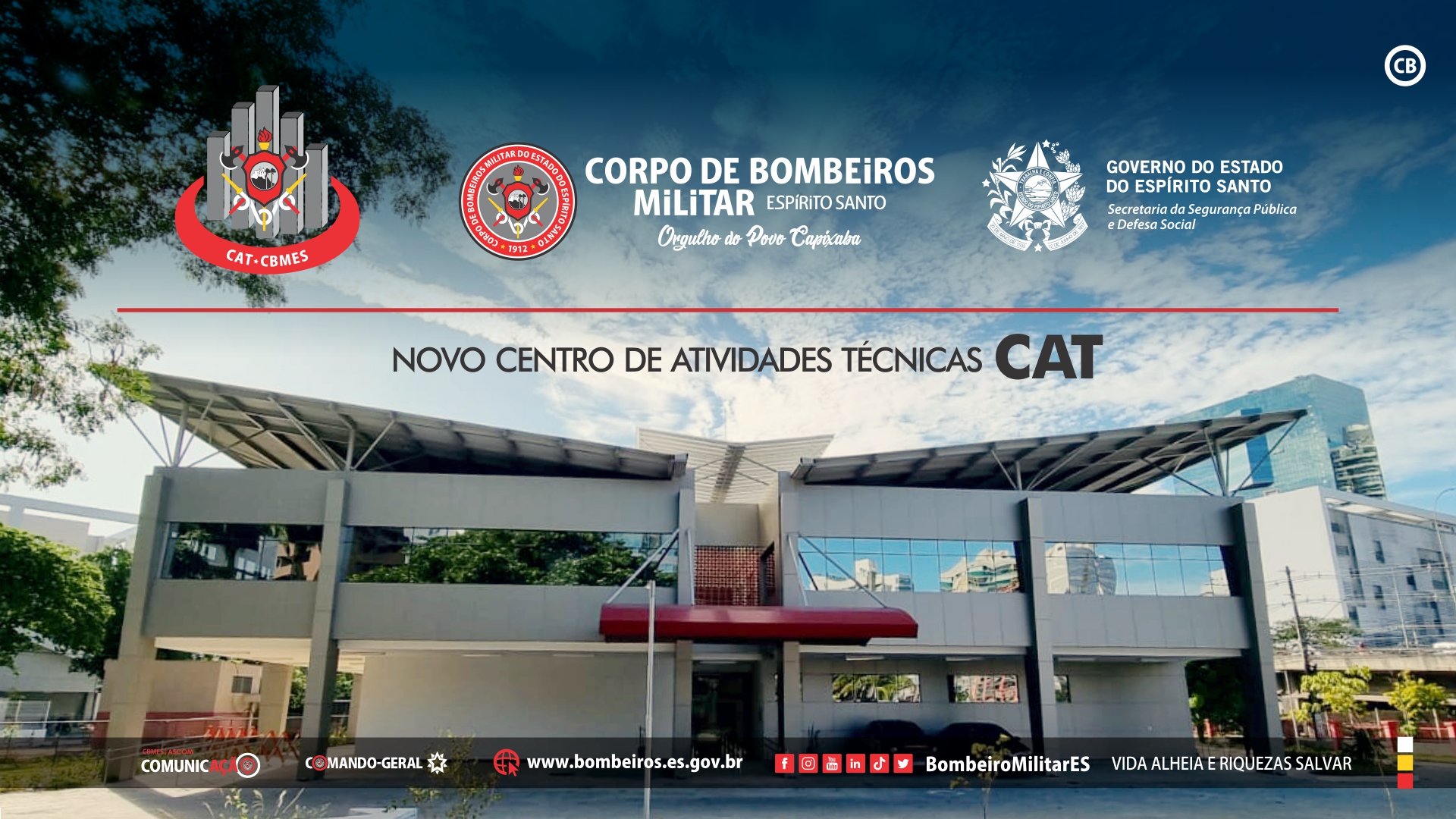 wallpaper-fullhd-cat-02